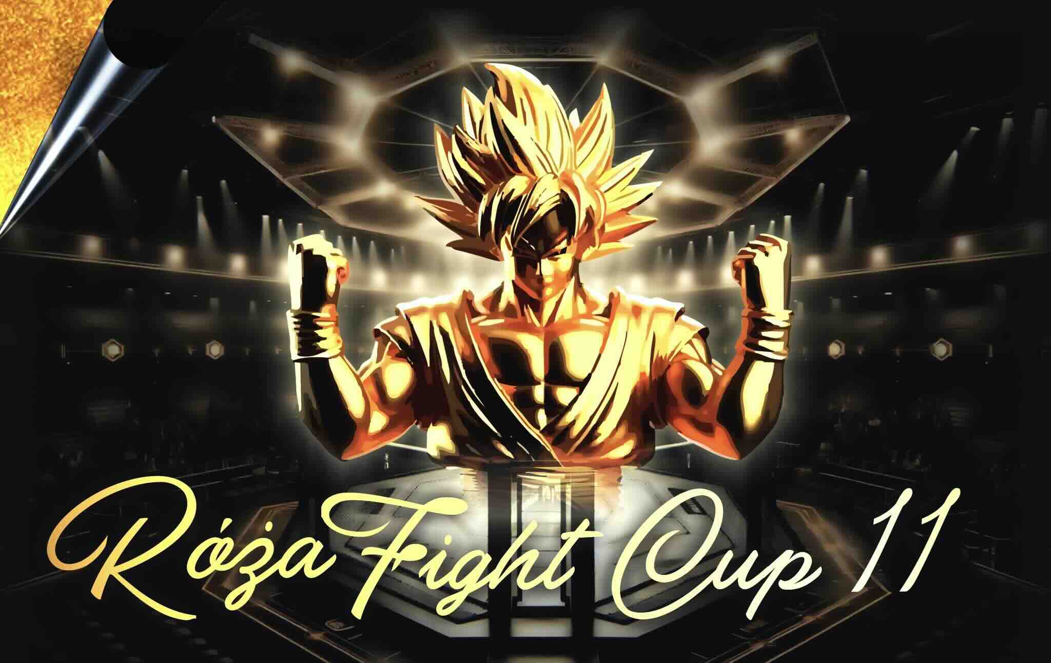 Róża Fight Cup 11