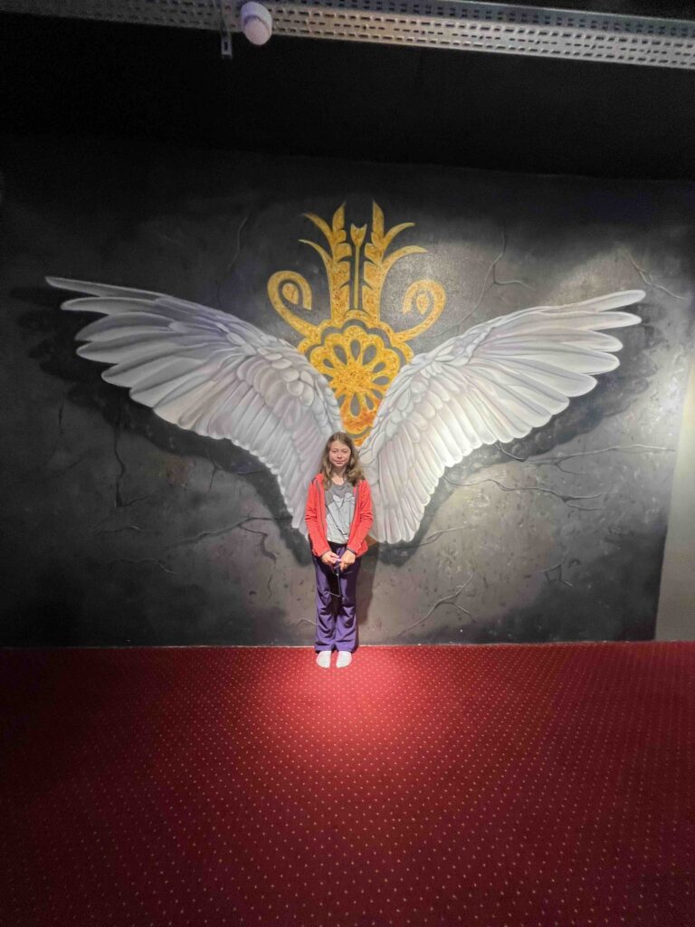 43